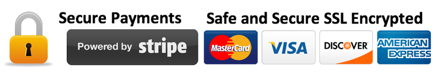 safe and secured online payment by stipe - master driving school - master drivers secured online payment by stipe - master driving school - master drivers